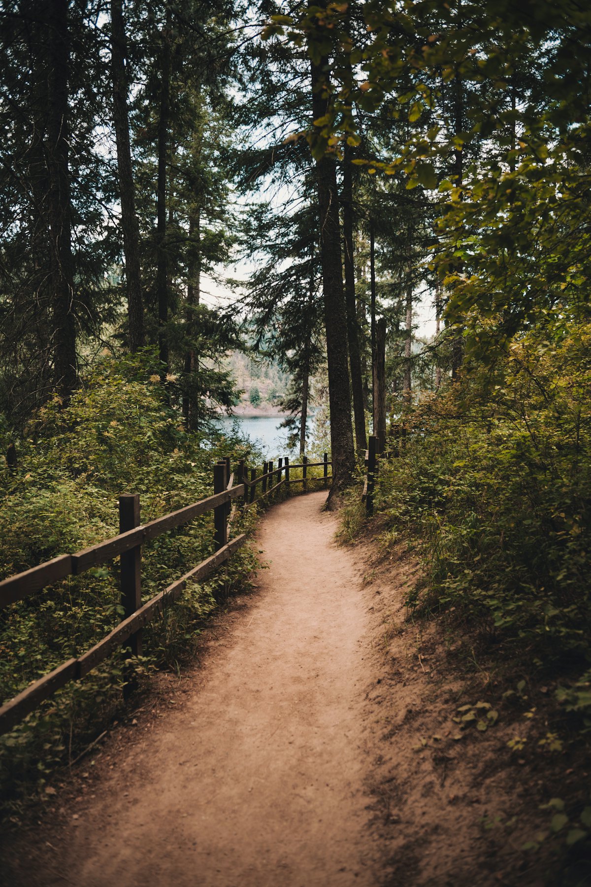 Course en nature — exercice et mobilisation cellulaire