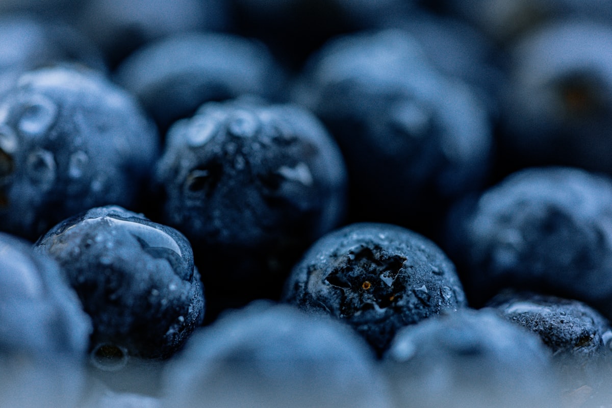 Aliments riches en polyphénols — nutrition cellulaire